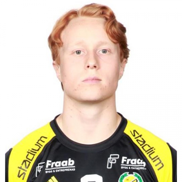 Gustaf Wedberg