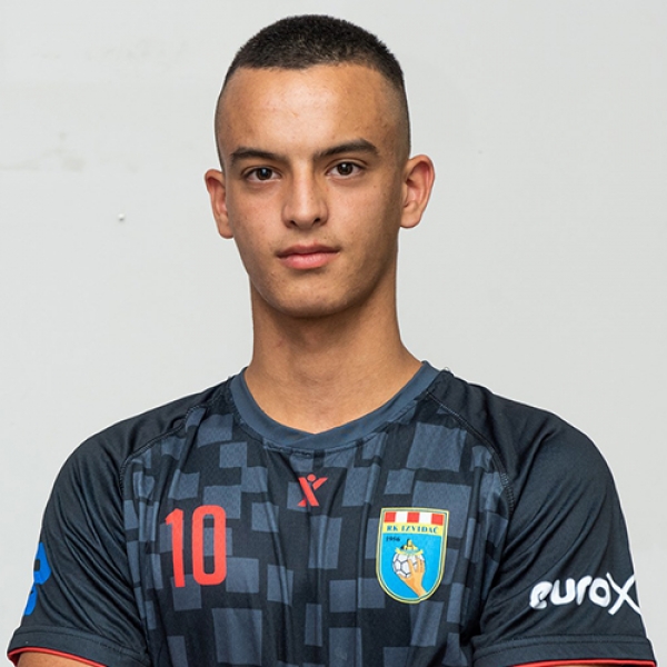 Milan Dedic