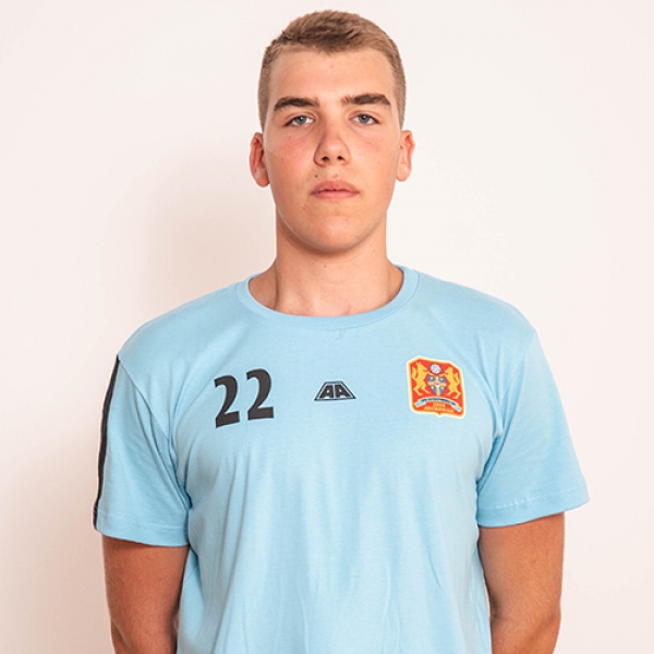 Nemanja Nikolić 