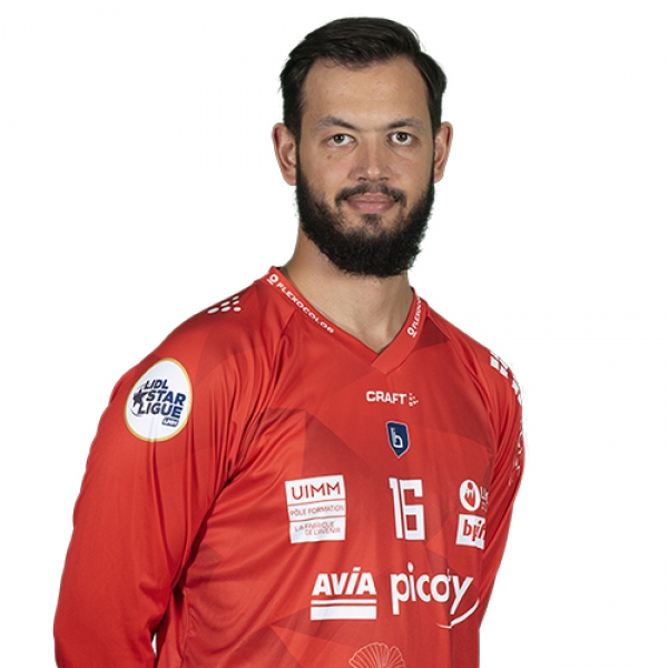 Denis  Serdarevic