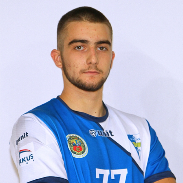 Andrej Ilić