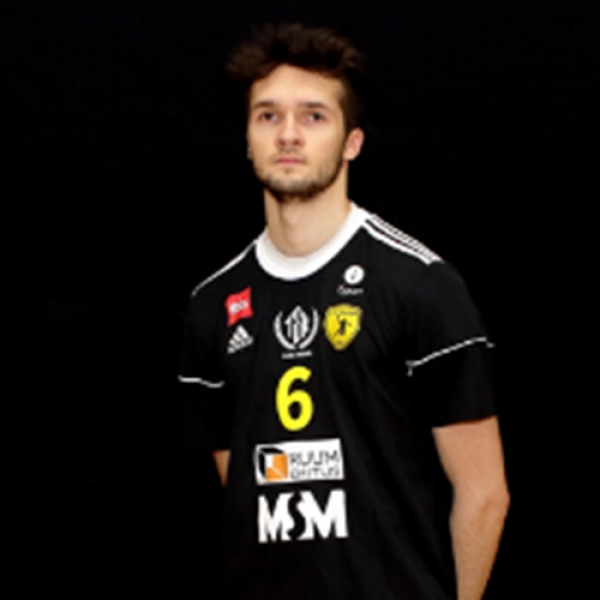 Martti Viitikar
